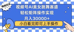 视频号蓝海赛道玩法，当天起号，拉爆流量收益，小白也能轻松月入30000+-揽颜居工坊