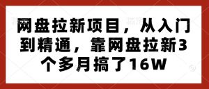 网盘拉新项目，从入门到精通，靠网盘拉新3个多月搞了16W-揽颜居工坊