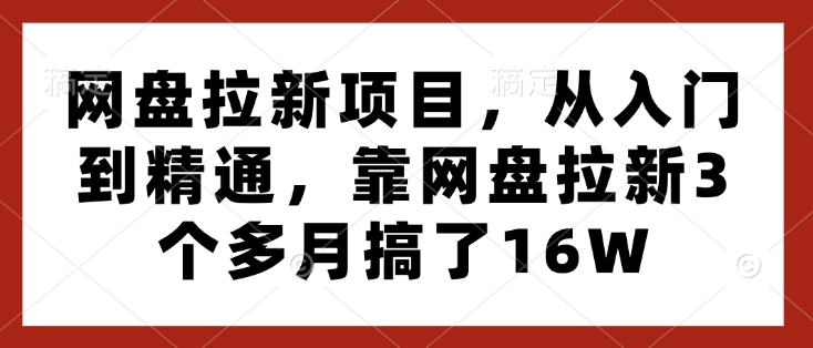 网盘拉新项目，从入门到精通，靠网盘拉新3个多月搞了16W-揽颜居工坊