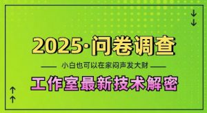 2025问卷调查最新工作室技术解密：一个人在家也可以闷声发大财，小白一天2张，可矩阵放大【揭秘】-揽颜居工坊