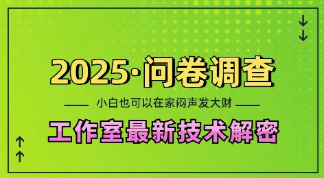 2025问卷调查最新工作室技术解密：一个人在家也可以闷声发大财，小白一天2张，可矩阵放大【揭秘】-揽颜居工坊