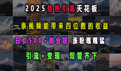 2025自热引流天花板，一条视频能带来四位数的收益，引流+变现双管齐下，日引500+创业粉，涨粉嘎嘎猛-揽颜居工坊
