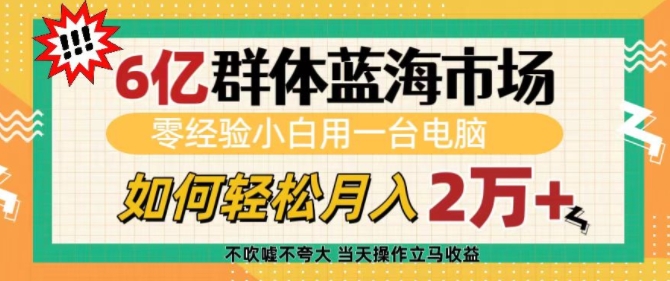 6亿群体蓝海市场，零经验小白用一台电脑，如何轻松月入过w【揭秘】-揽颜居工坊