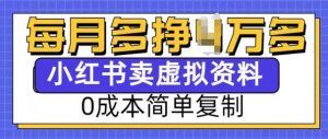 小红书虚拟资料项目，0成本简单复制，每个月多挣1W【揭秘】-揽颜居工坊
