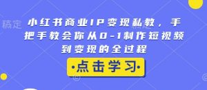 小红书商业IP变现私教，手把手教会你从0-1制作短视频到变现的全过程-揽颜居工坊