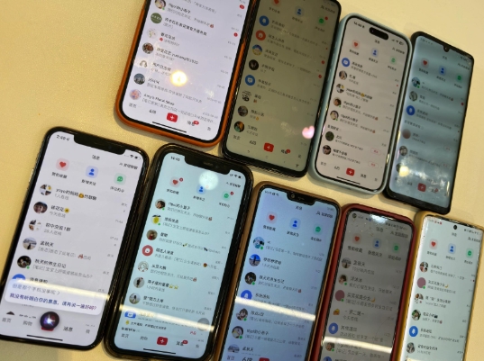 首发揭秘小红书私域日引500+创业粉四大模板，月入过W+全程干货!没有废话!保姆教程!-揽颜居工坊