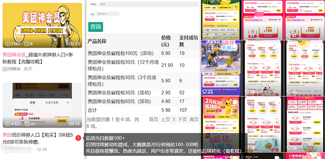 美团神券/神会员_入门级教程，外卖券膨胀推广项目【蓝海市场攻略】-揽颜居工坊