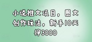 小说推文项目，图文创作玩法，新手10天挣3000-揽颜居工坊