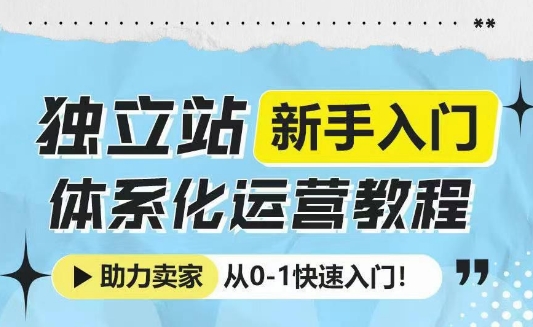 独立站新手入门体系化运营教程，助力独立站卖家从0-1快速入门!-揽颜居工坊