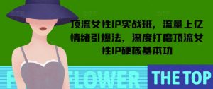顶流女性IP实战班,流量上亿情绪引爆法,深度打磨顶流女性IP硬核基本功-揽颜居工坊