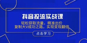 抖音投流实战课，轻松获取流量，精准出价，复制大V成功之路，实现变现翻倍-揽颜居工坊
