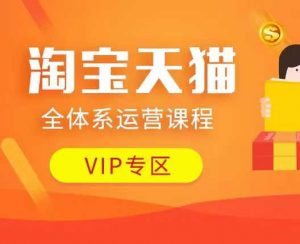 淘宝天猫全体系运营课程：店铺全系运营、动销玩法、付费推广、流量提升、擦边球玩法等等-揽颜居工坊