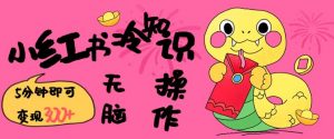 小红书冷知识账号，无脑复制粘贴，5分钟即可变现3张-揽颜居工坊