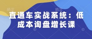 直通车实战系统：低成本询盘增长课，让个人通过技能实现升职加薪，让企业低成本获客，订单源源不断-揽颜居工坊