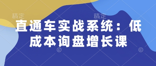 直通车实战系统：低成本询盘增长课，让个人通过技能实现升职加薪，让企业低成本获客，订单源源不断-揽颜居工坊