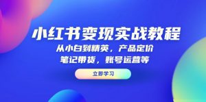 小红书变现实战教程:从小白到精英,产品定价,笔记带货,账号运营等-揽颜居工坊