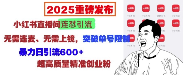 2025重磅发布：小红书直播间连怼引流，无需连麦、无需上镜，突破单号限制，暴力日引流600+-揽颜居工坊