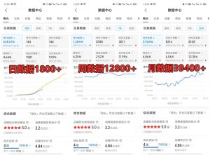 拼多多虚拟店铺项目，电脑挂机自动发货，单店日利润300+-揽颜居工坊