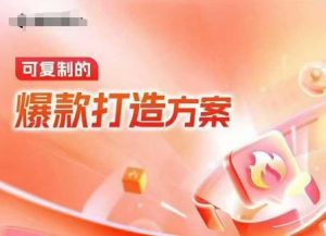 天猫电商爆款运营，可复制的爆款打造方案(线下内训课录音+字幕)-揽颜居工坊