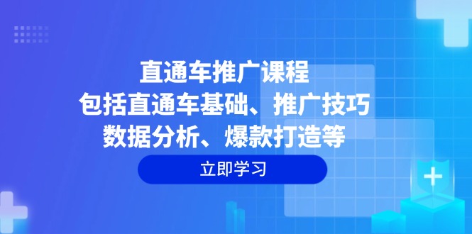 直通车推广课程：包括直通车基础、推广技巧、数据分析、爆款打造等-揽颜居工坊