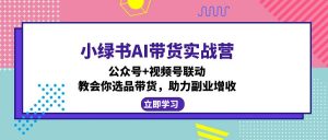 小绿书AI带货实战营：公众号+视频号联动，教会你选品带货，助力副业增收-揽颜居工坊