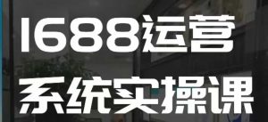 1688高阶运营系统实操课，快速掌握1688店铺运营的核心玩法-揽颜居工坊