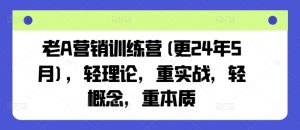 老A营销训练营(更25年1月)，轻理论，重实战，轻概念，重本质-揽颜居工坊