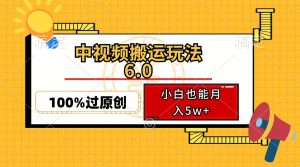 中视频搬运玩法6.0，利用软件双重去重，100%过原创，小白也能月入5w+-揽颜居工坊