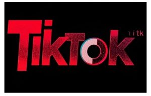 TikTok ads投流秘籍，涵盖tiktok整体投放思路，教你搭建测试计划-揽颜居工坊