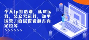 个人ip打造课，私域运营，公众号运营，知乎运营，底层逻辑和方向定位等-揽颜居工坊