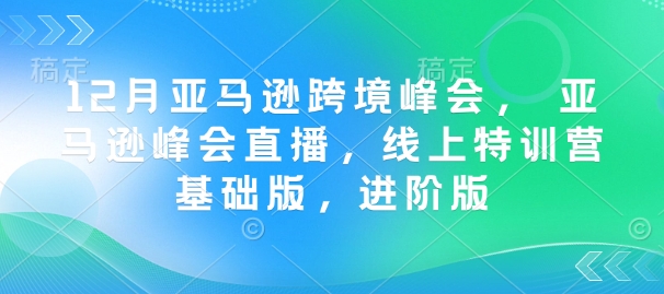 12月亚马逊跨境峰会， 亚马逊峰会直播，线上特训营基础版，进阶版-揽颜居工坊