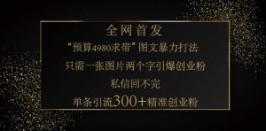 小红书神奇图片引流法，只需一张图，就能单条笔记凭借此方法，轻松引流 300 + 精准创业粉-揽颜居工坊