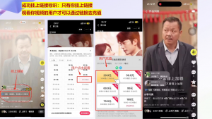 书阳老师·短剧运营变现之路-揽颜居工坊