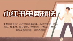 小红书电商玩法：带货/选品/找素材/裂变/数据分析/供应商/发货/售后/开店思维等-揽颜居工坊