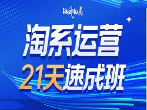 淘系运营21天速成班35期，年前最后一波和2025方向-揽颜居工坊