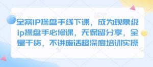 全案IP操盘手线下课，成为现象级ip操盘手必修课，无保留分享，全是干货，不讲废话超深度培训实操-揽颜居工坊