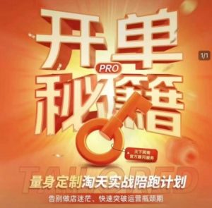 淘宝开单秘籍PRO,量身定制淘天实战陪跑计划,告别做店迷茫、快速突破运营瓶颈期-揽颜居工坊