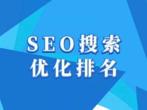 抖音搜索SEO教程，抖音SEO搜索优化排名-揽颜居工坊