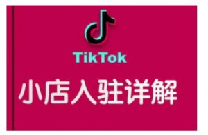 TikTok跨境小店运营全攻略,帮助你独立运营TK跨境小店的能力,实现销量增长-揽颜居工坊