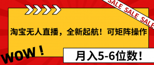 淘宝无人直播，全新起航！可矩阵操作，月入5-6位数！-揽颜居工坊