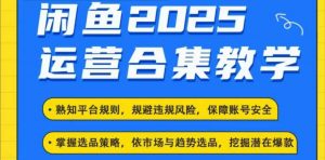2025闲鱼电商运营全集,2025最新咸鱼玩法-揽颜居工坊