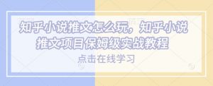知乎小说推文怎么玩，知乎小说推文项目保姆级实战教程-揽颜居工坊
