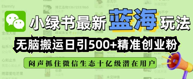 小绿书无脑搬运引流，全自动日引500精准创业粉，微信生态内又一个闷声发财的机会-揽颜居工坊