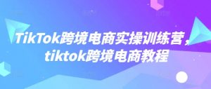 TikTok跨境电商实操训练营，tiktok跨境电商教程-揽颜居工坊