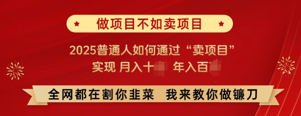 必看,做项目不如卖项目,2025普通人如何通过“卖项目”实现月入十个,年入百个-揽颜居工坊