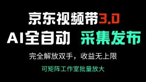 京东视频带货3.0，Ai全自动采集＋自动发布，完全解放双手，收入无上限...-揽颜居工坊