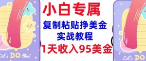 复制粘贴挣美金，0门槛，1天收入95美刀，3分钟学会，内部教程(首次公开)-揽颜居工坊
