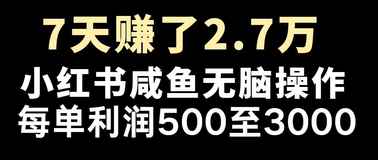 最赚钱项目之一，2025爆火，逆风翻盘！-揽颜居工坊