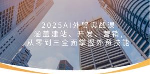 2025AI外贸实战课:涵盖建站、开发、营销, 从零到三全面掌握外贸技能-揽颜居工坊