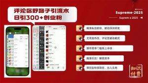 评论区野路子截流创业粉新方法，日被动加300+创业粉，精准引流被动添加...-揽颜居工坊